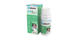 Zylkene kaps. Keskikokoisille koirille 10-30 kg 30 kpl